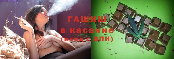 сатива Беломорск