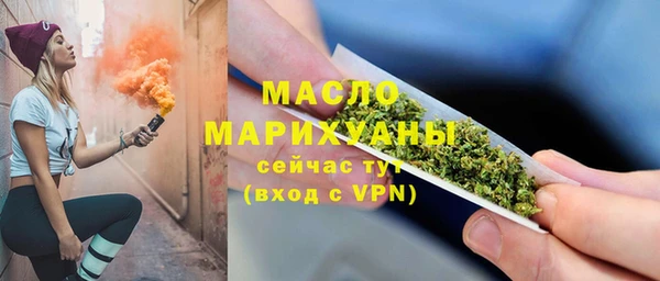 сатива Беломорск