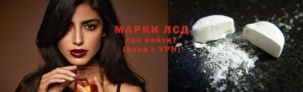 сатива Беломорск