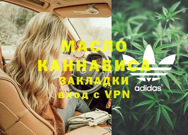 сатива Беломорск