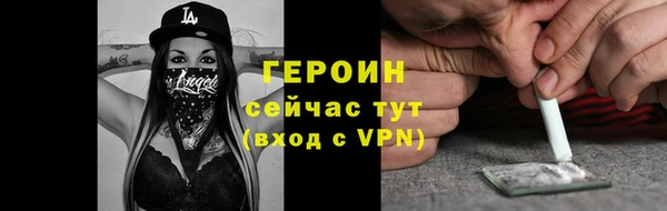 сатива Беломорск