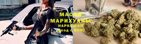 сатива Беломорск